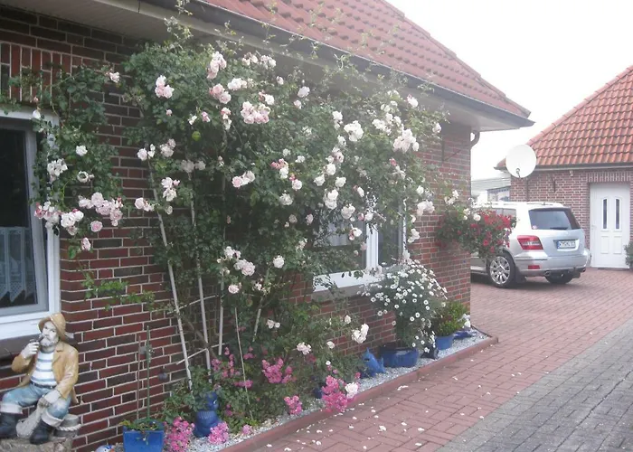 Elke 公寓 埃森斯